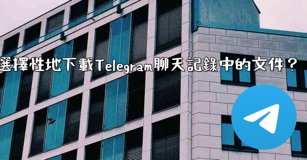 <b>如何選擇性地下載Telegram聊天記錄中的文件？</b>