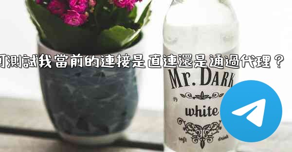 Telegram如何測試我當前的連接是直連還是通過代理？