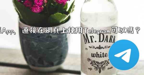 我可以不下載App，直接在網頁上使用Telegram可以嗎？