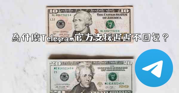 為什麼Telegram官方支援遲遲不回复？
