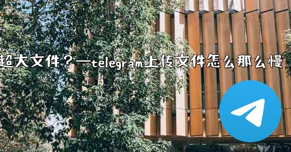Telegram如何發送超過2GB的超大文件？—telegram上传文件怎么那么慢