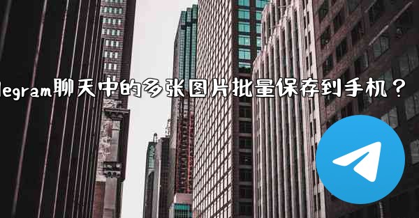 如何將Telegram聊天中的多張圖片批量保存到手機？,如何将telegram聊天中的多张图片批量保存到手机？