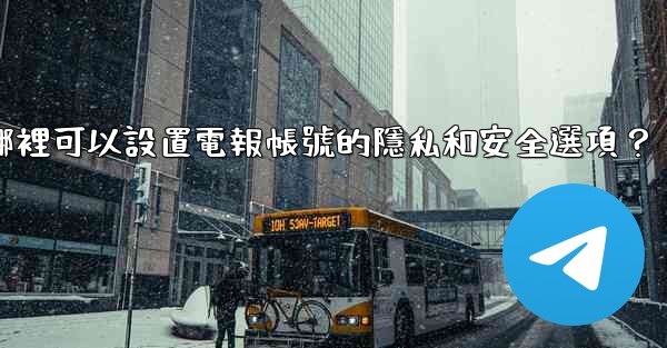 在哪裡可以設置電報帳號的隱私和安全選項？