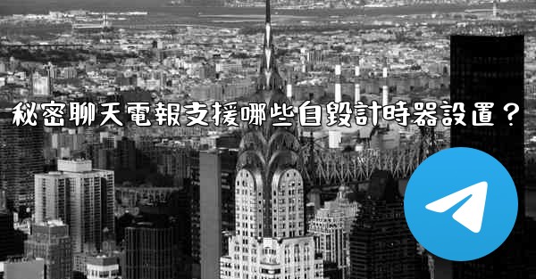 秘密聊天電報支援哪些自毀計時器設置？