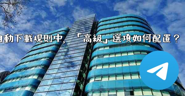 <b>電報媒體自動下載規則中，「高級」選項如何配置？</b>