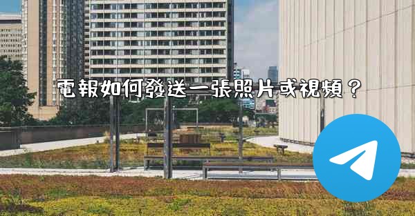 電報如何發送一張照片或視頻？