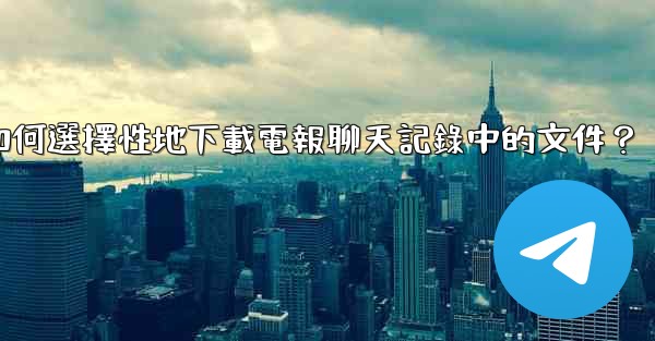 <b>如何選擇性地下載電報聊天記錄中的文件？</b>