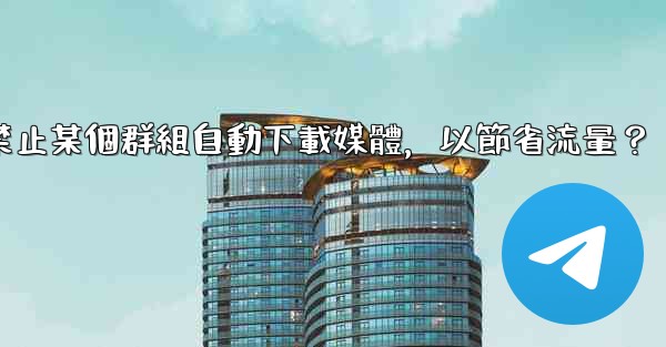 電報如何禁止某個群組自動下載媒體，以節省流量？