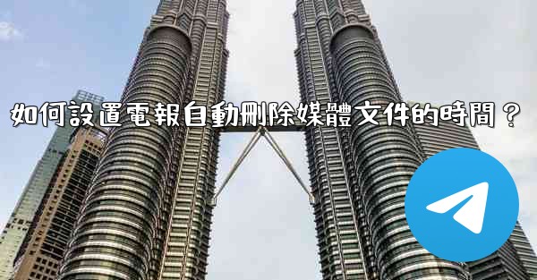 如何設置電報自動刪除媒體文件的時間？