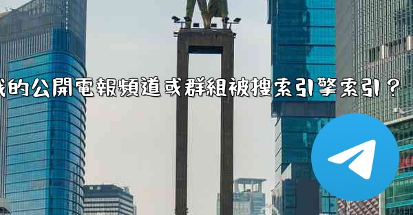 <b>如何防止我的公開電報頻道或群組被搜索引擎索引？</b>