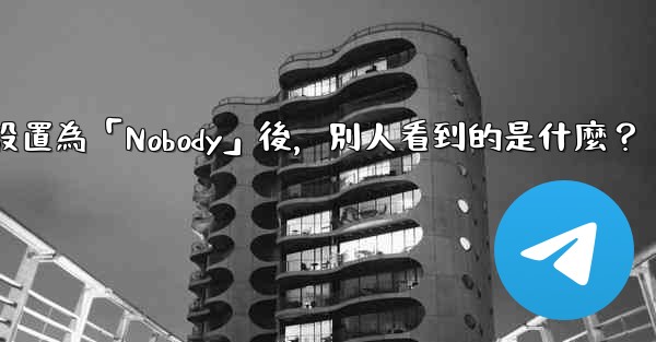 <b>電報設置為「Nobody」後，別人看到的是什麼？</b>