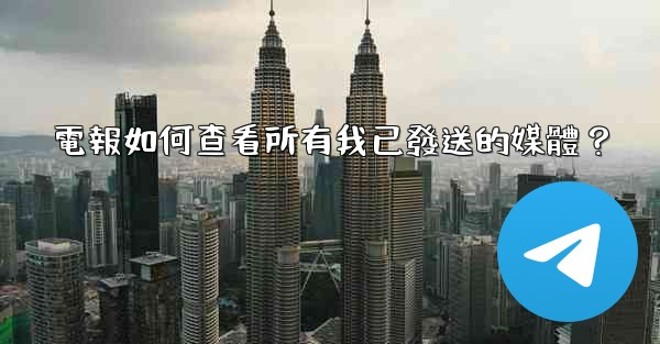 電報如何查看所有我已發送的媒體？