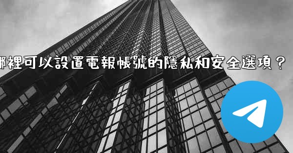 在哪裡可以設置電報帳號的隱私和安全選項？