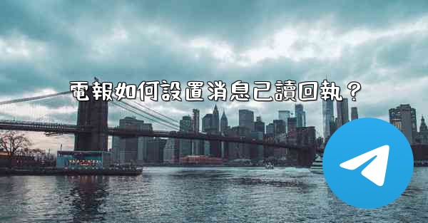 <b>電報如何設置消息已讀回執？</b>