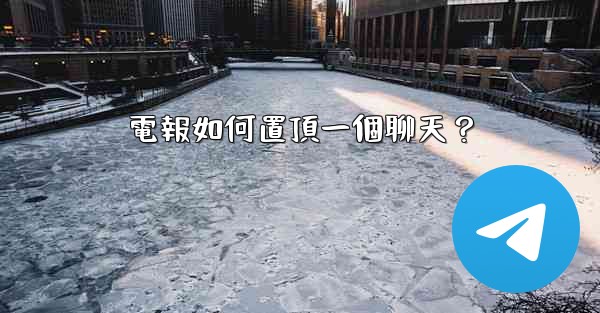 電報如何置頂一個聊天？