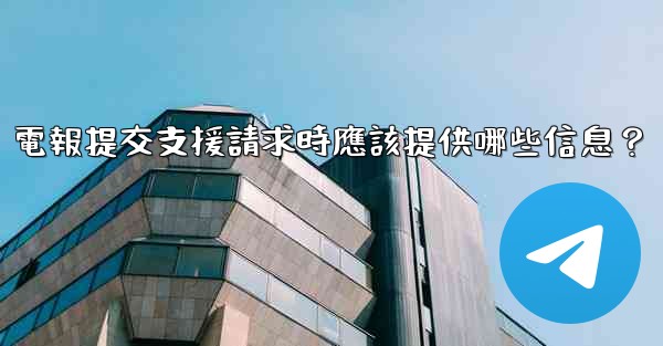 電報提交支援請求時應該提供哪些信息？